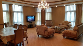 Deluxe City Center Apartments